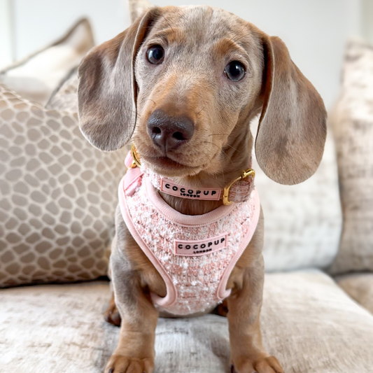 Pink Tweed Collar - Bridgerton