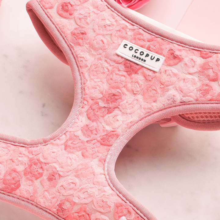 Peony - Adjustable Dog Harness