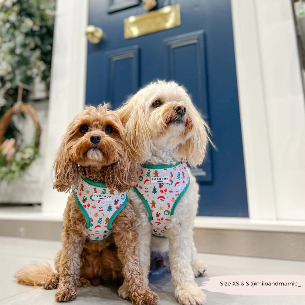 Christmas Pawty Harness