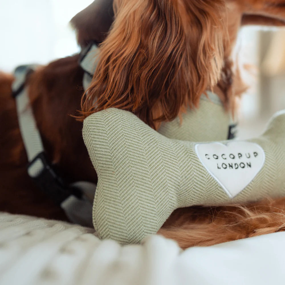 Sage Bone Toy