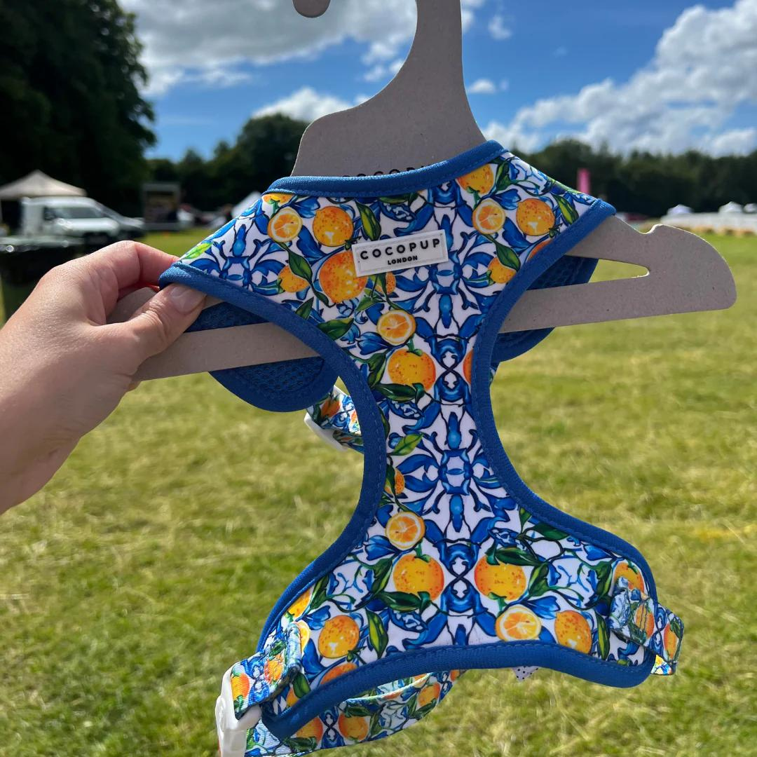 Amalfi Harness