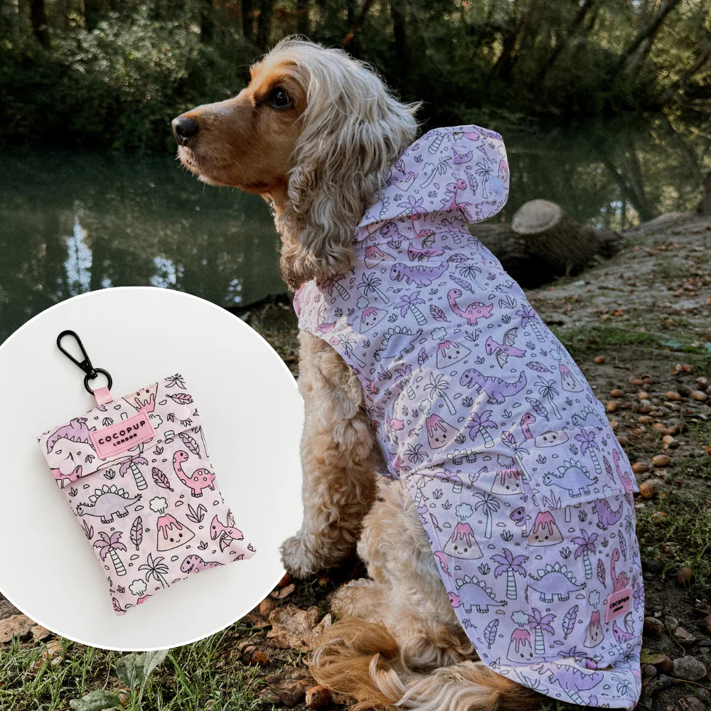 Princess Dino Dog Raincoat