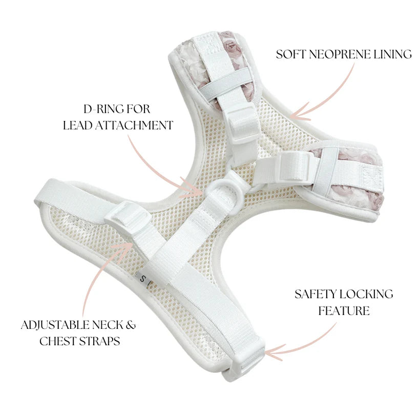 Pearly Pup Harness