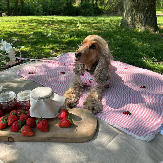 Blanket - Strawberry Picnic