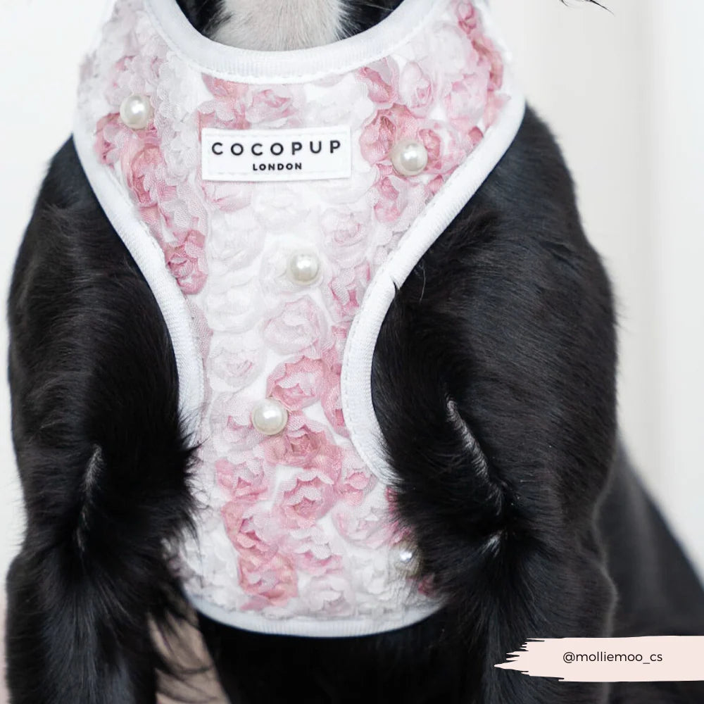 Pearly Pup Harness