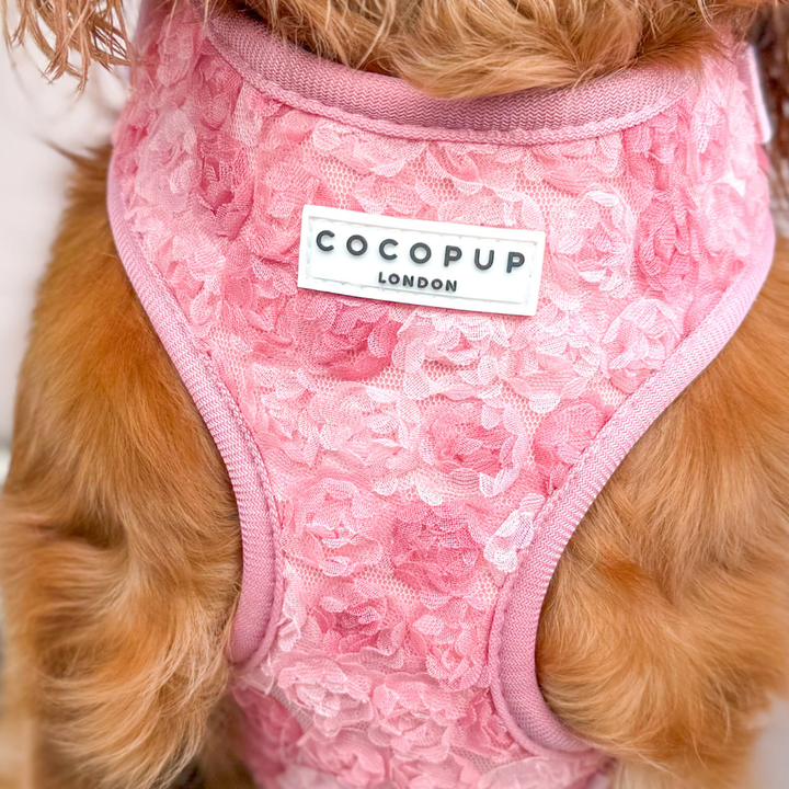 Peony Harness
