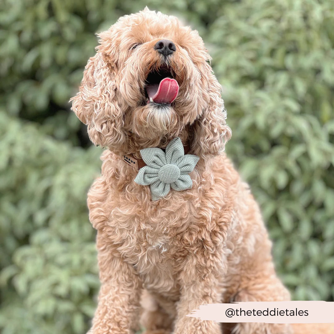 Sage Flower Bow Tie