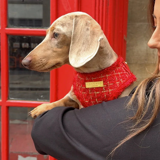 The Duchess Harness - Bridgerton