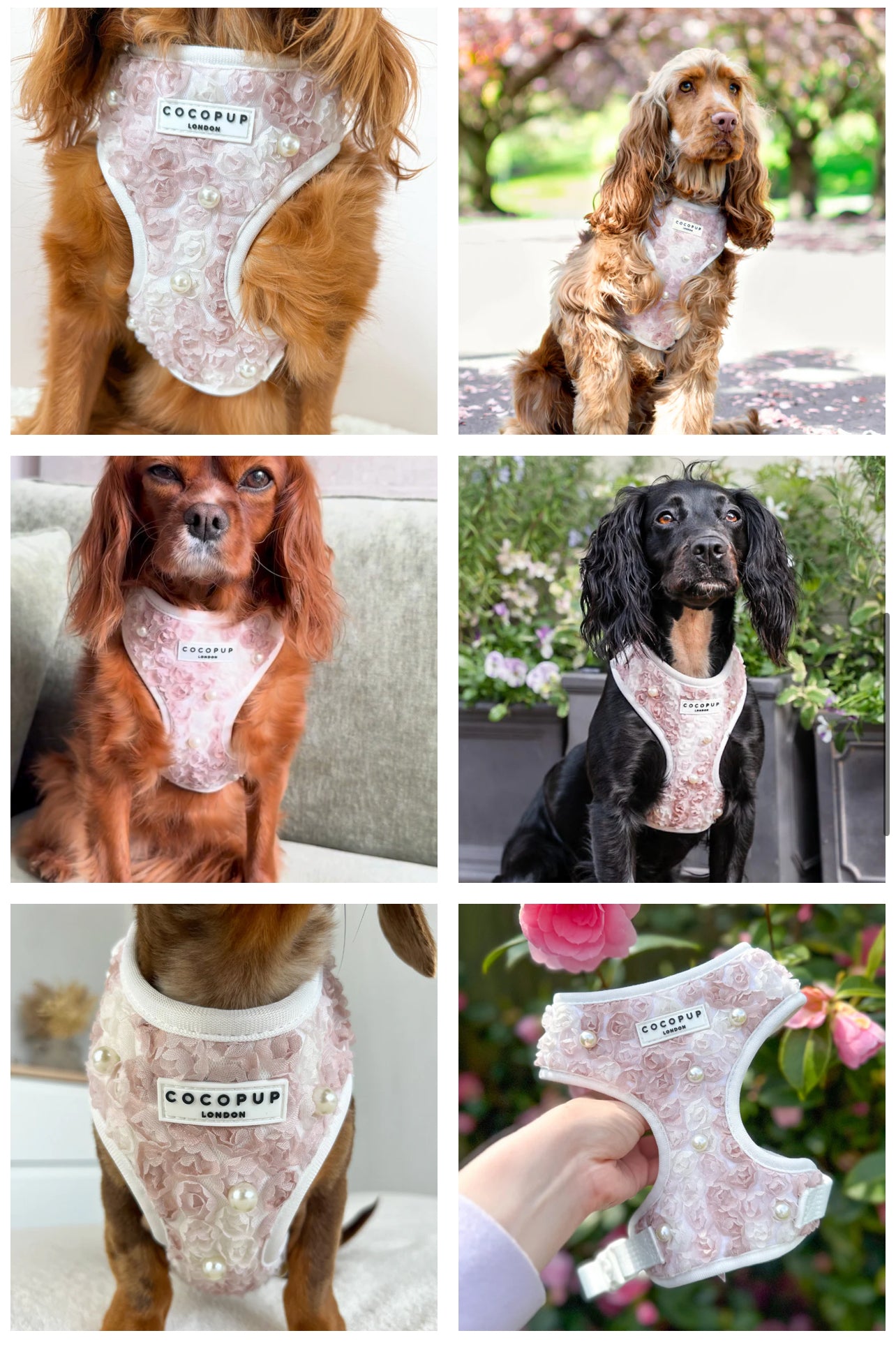 Pearly Pup Harness