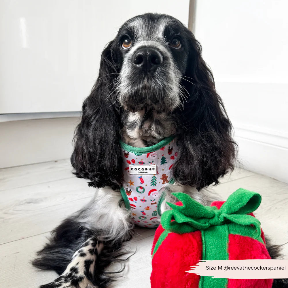 Christmas Pawty Harness