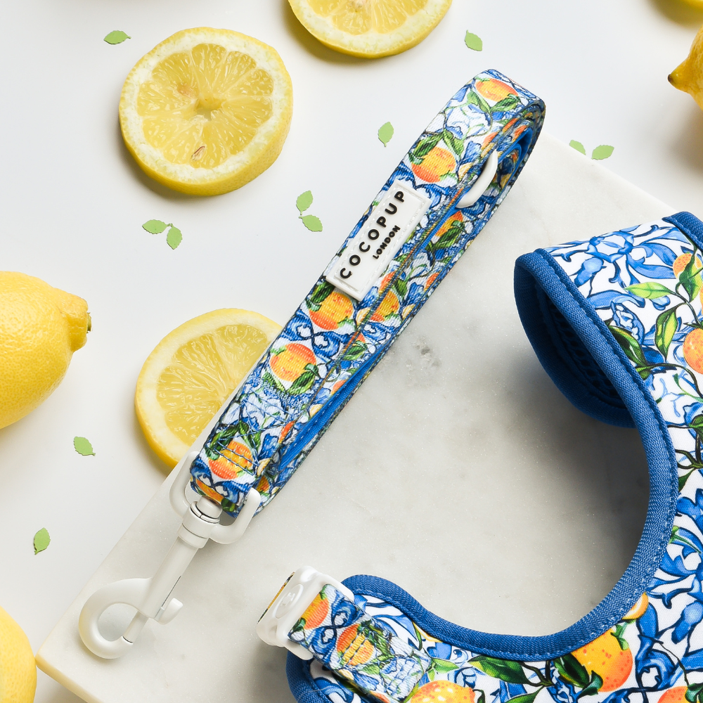 Amalfi Leash