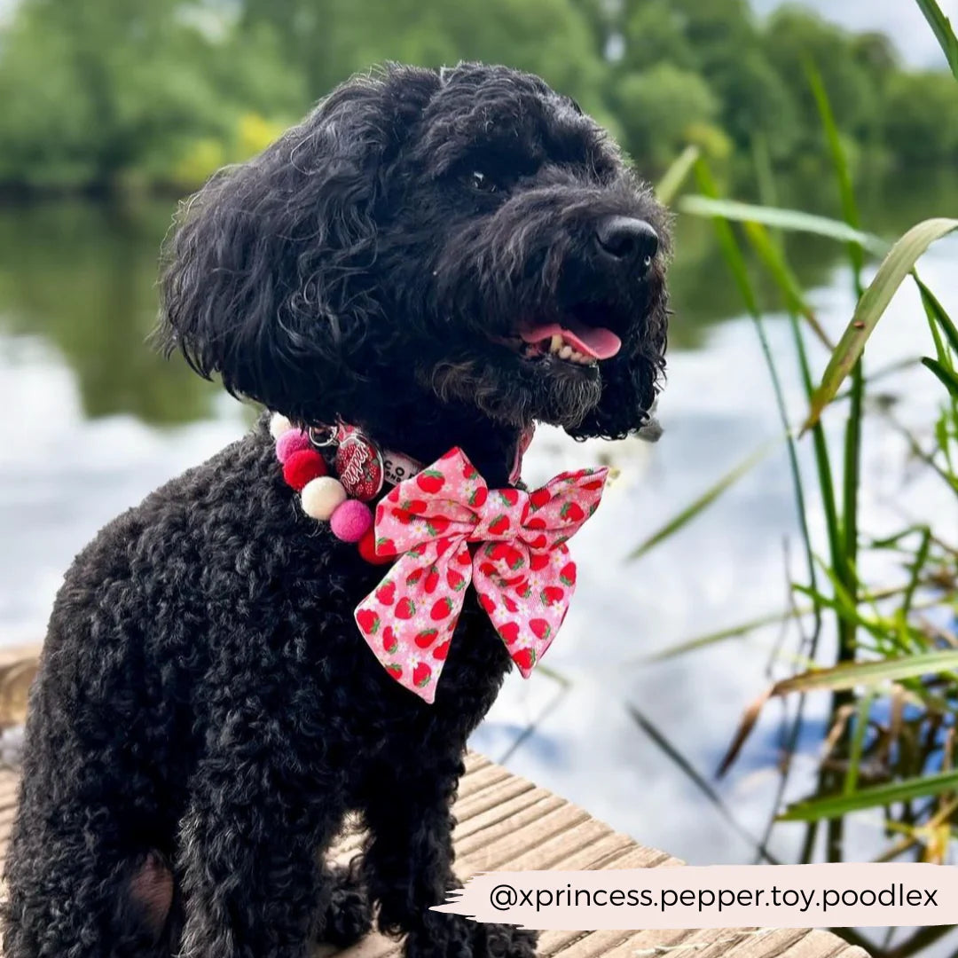 Pup Berry Sailor Bow Tie