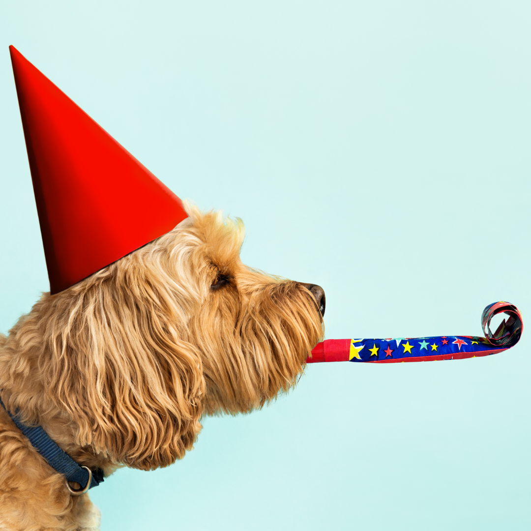 Birthday Gift Card (Digital)