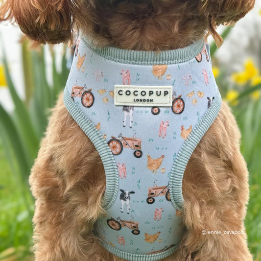 Barnyard Harness