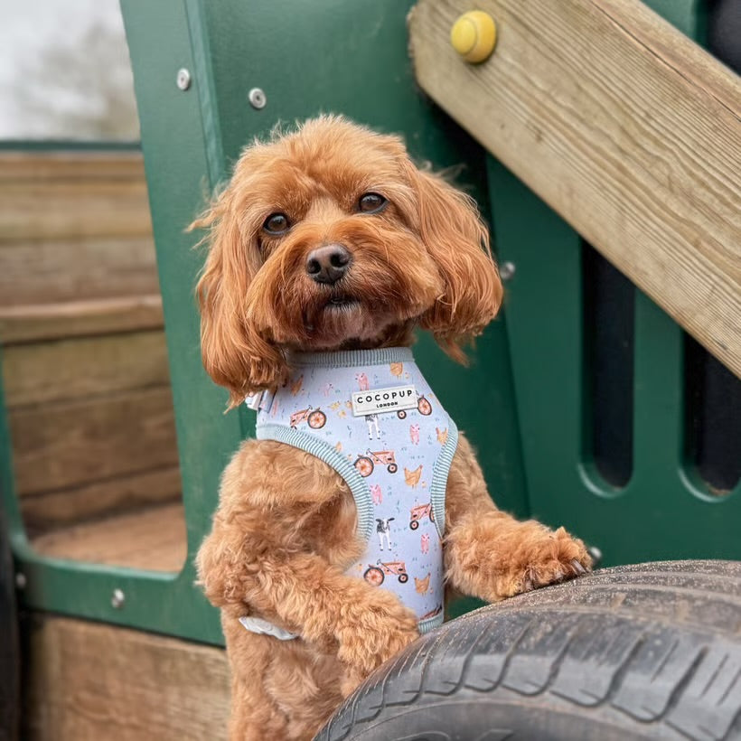 Barnyard Harness