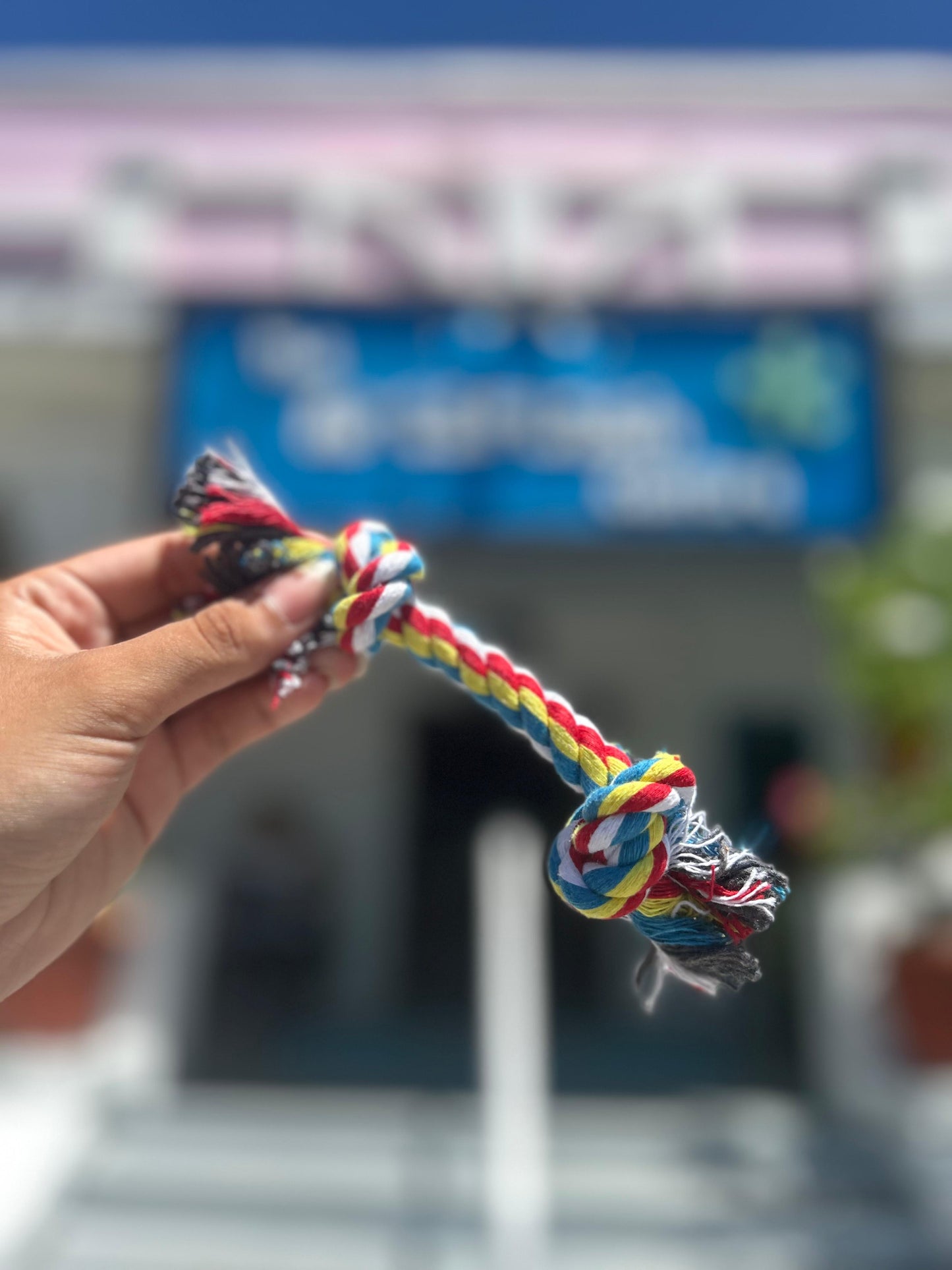 Puppy Rope Toy