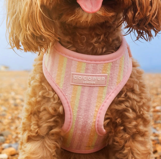 Pastel Stripes Cabana Harness