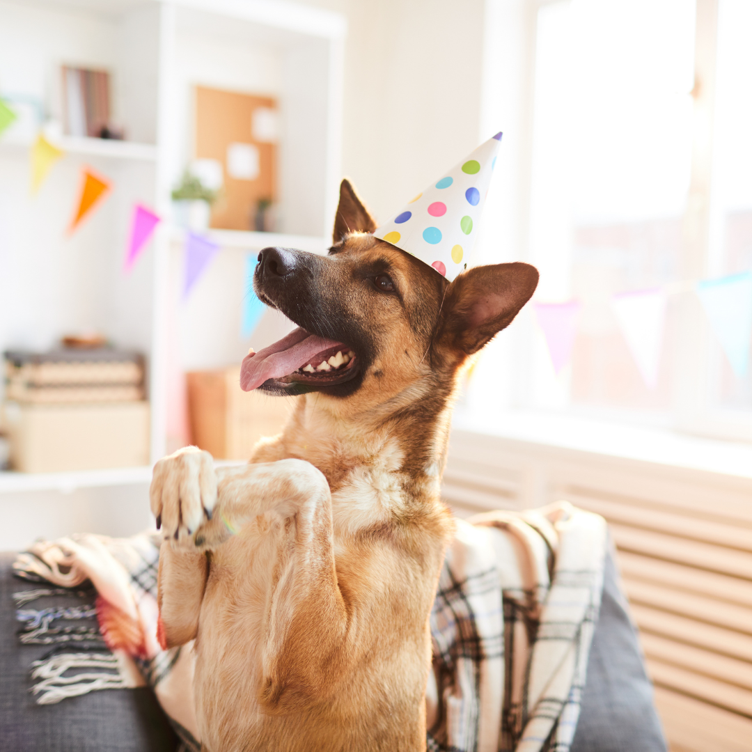Birthday Gift Card (Digital)