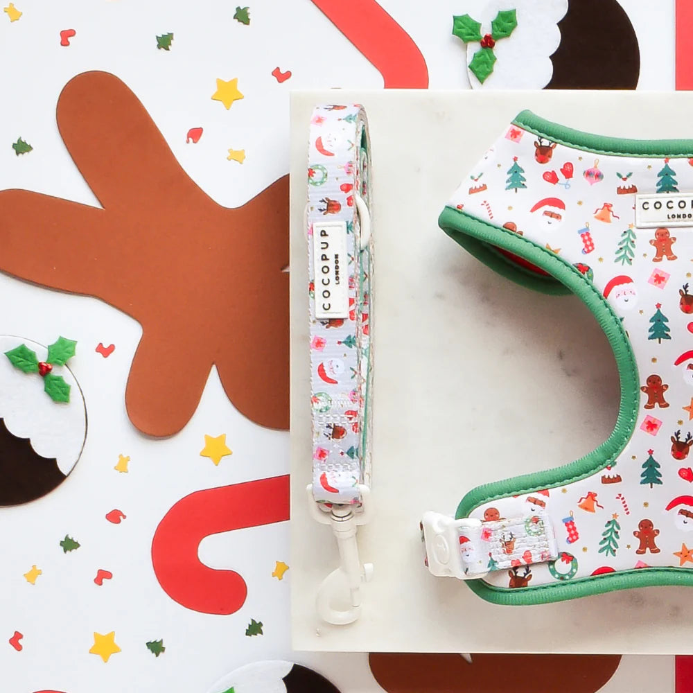 Christmas Pawty Leash