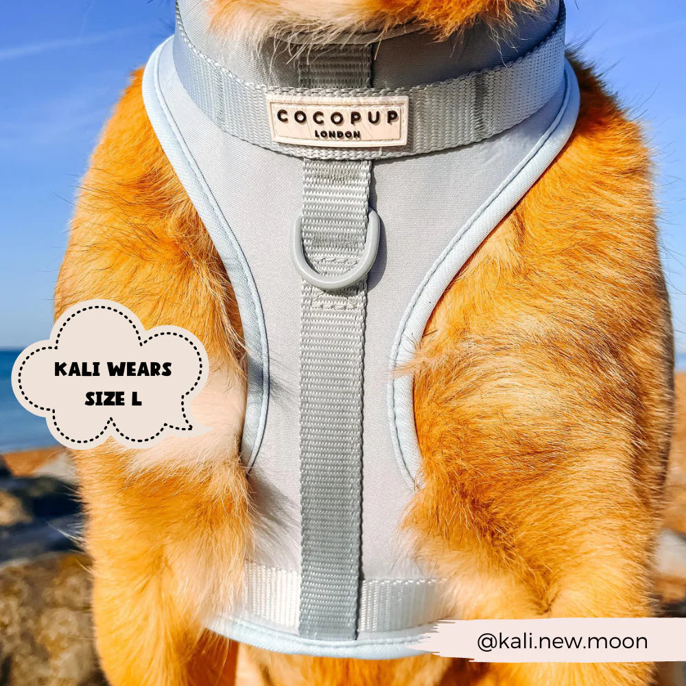 Bubblegum - Surf’s Up! 🏖️ - Adjustable Dog Harness