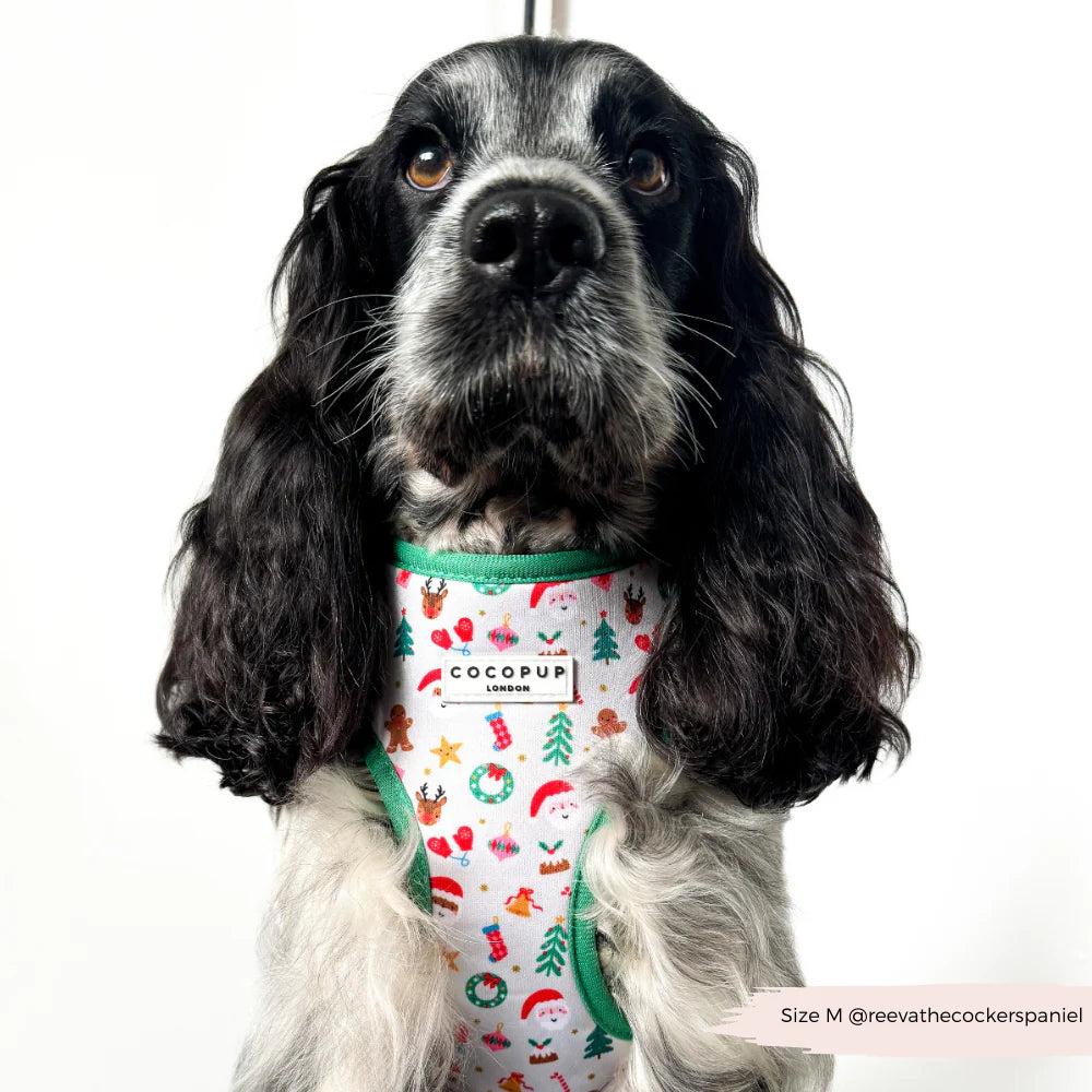 Christmas Pawty Harness