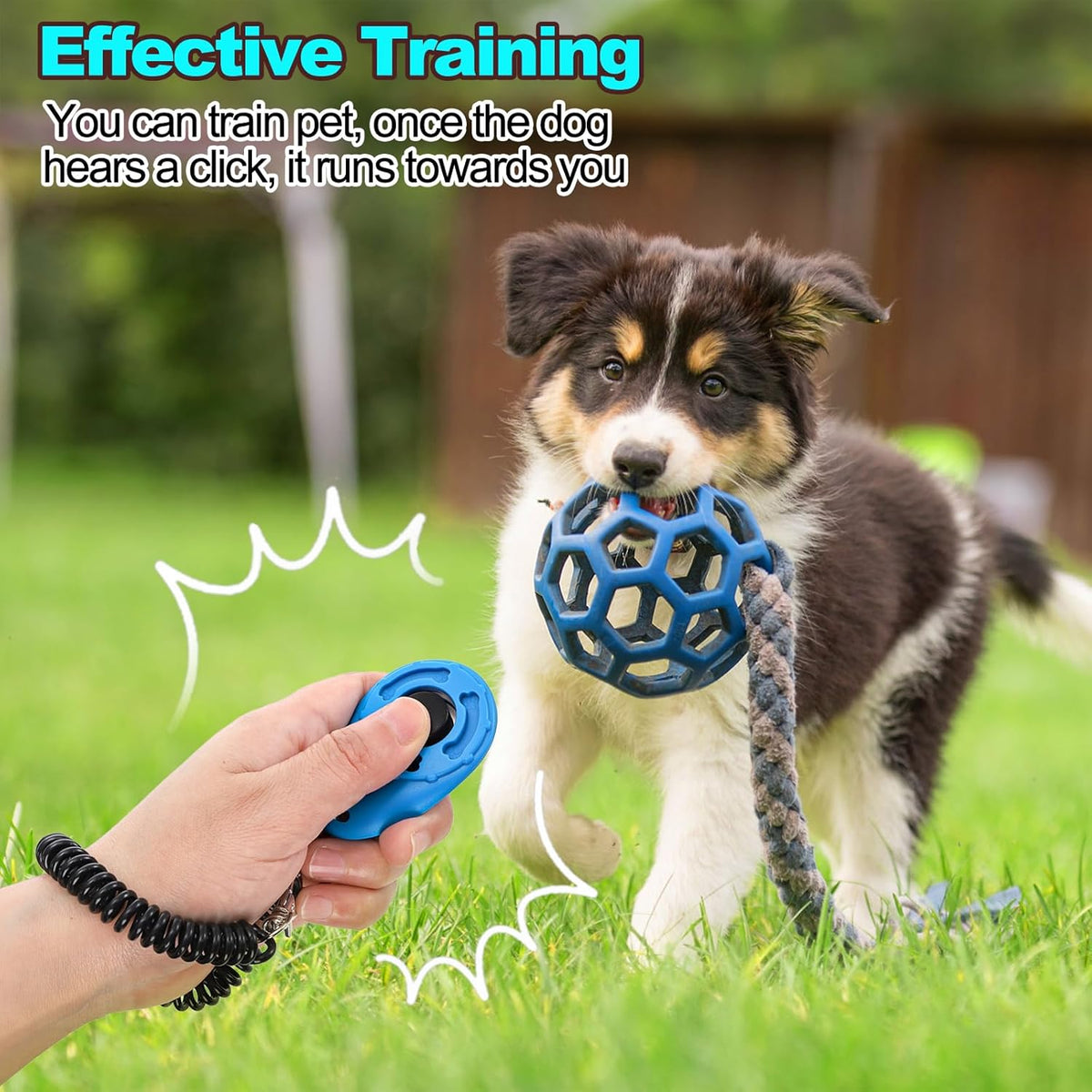 Puppy Training Clicker with Wrist Strap