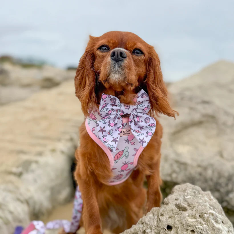 Pawcific Sailor Bow Tie
