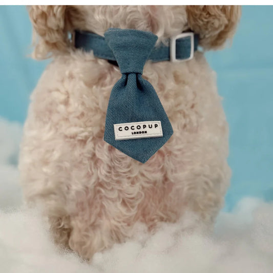 Cloud Nine Collar