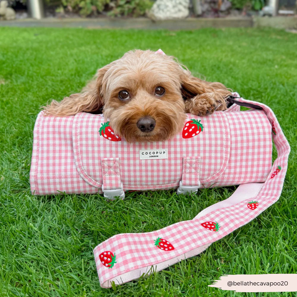 Travel Mat - Strawberry Picnic