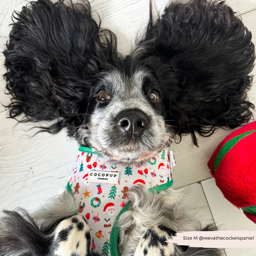 Christmas Pawty Harness