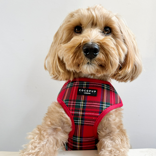 Tartan Harness