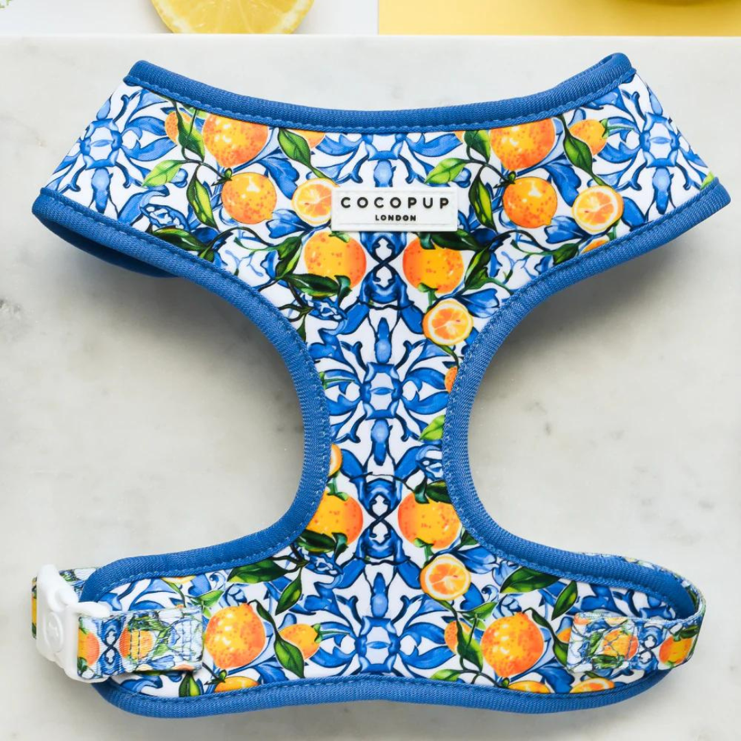 Amalfi Harness