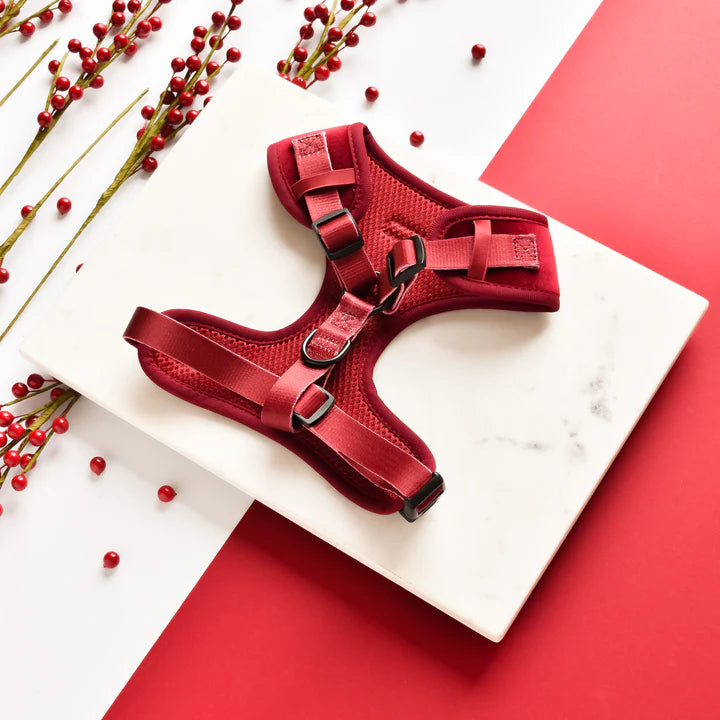 Luxe Red Velvet - Adjustable Dog Harness