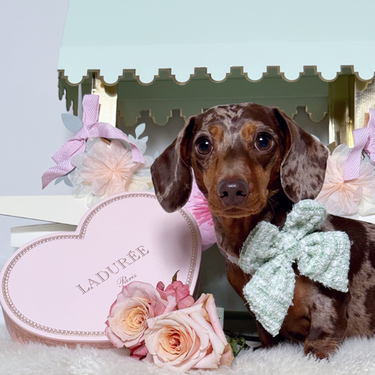 Matcha Tweed Sailor Bow Tie - Bridgerton