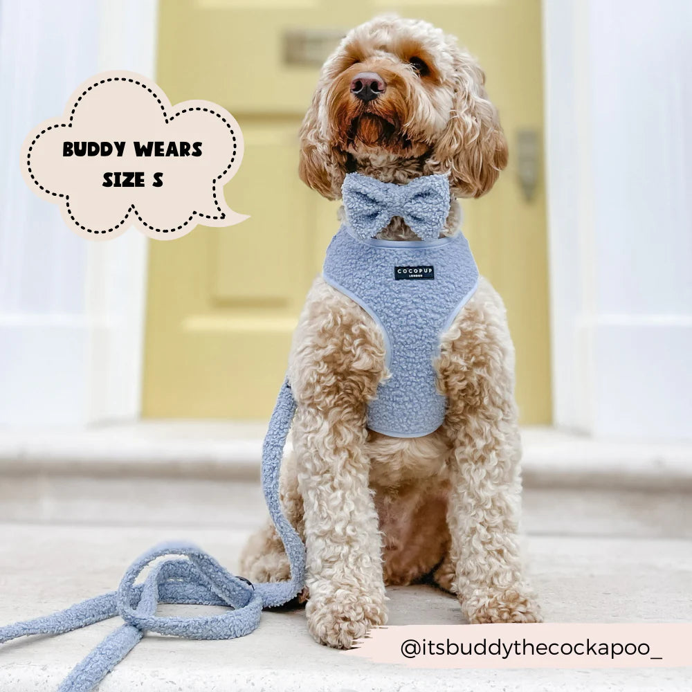 Daydream Leash