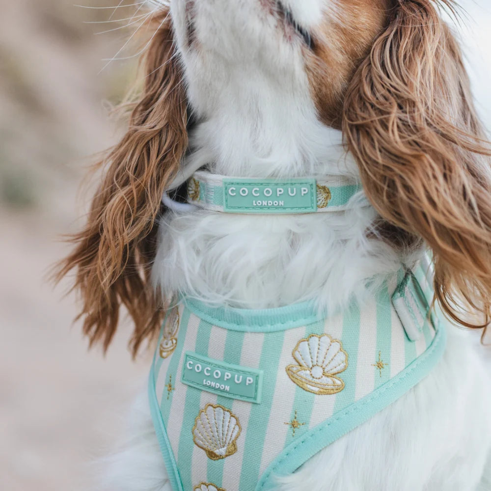 Mermaid Pearl - Adjustable Dog Collar