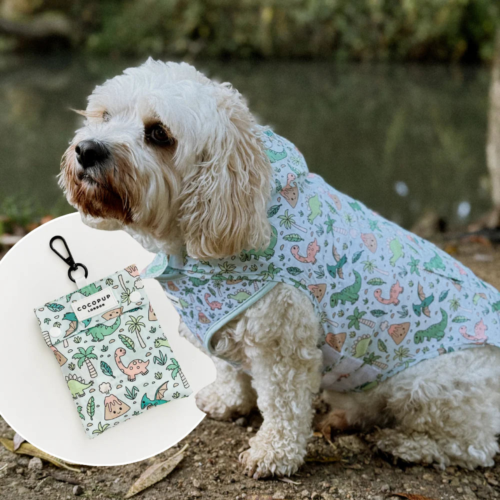 Dino-Paw Dog Raincoat