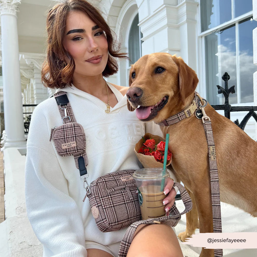 Pup Plaid Viral Dog Walking Bag
