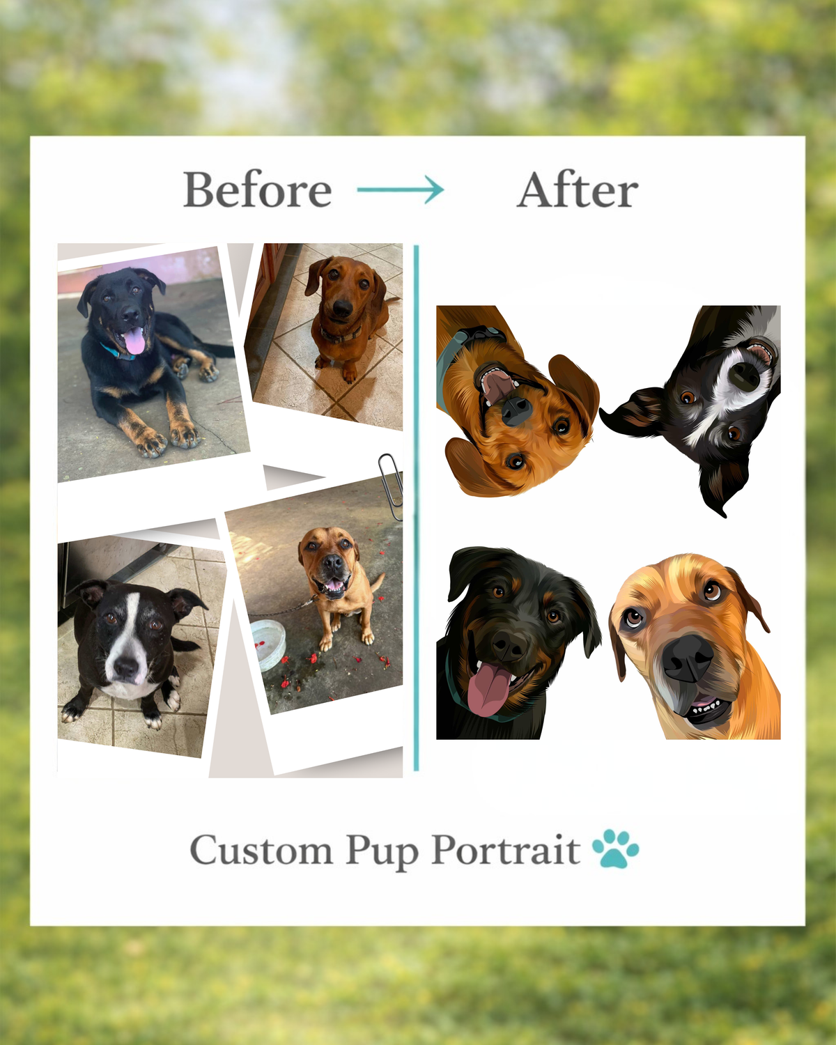 Custom Dog Art (Portraits) - Black Picture Frame Available