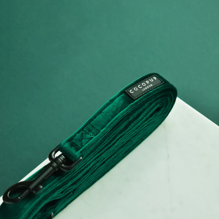 Luxe Green Velvet Leash