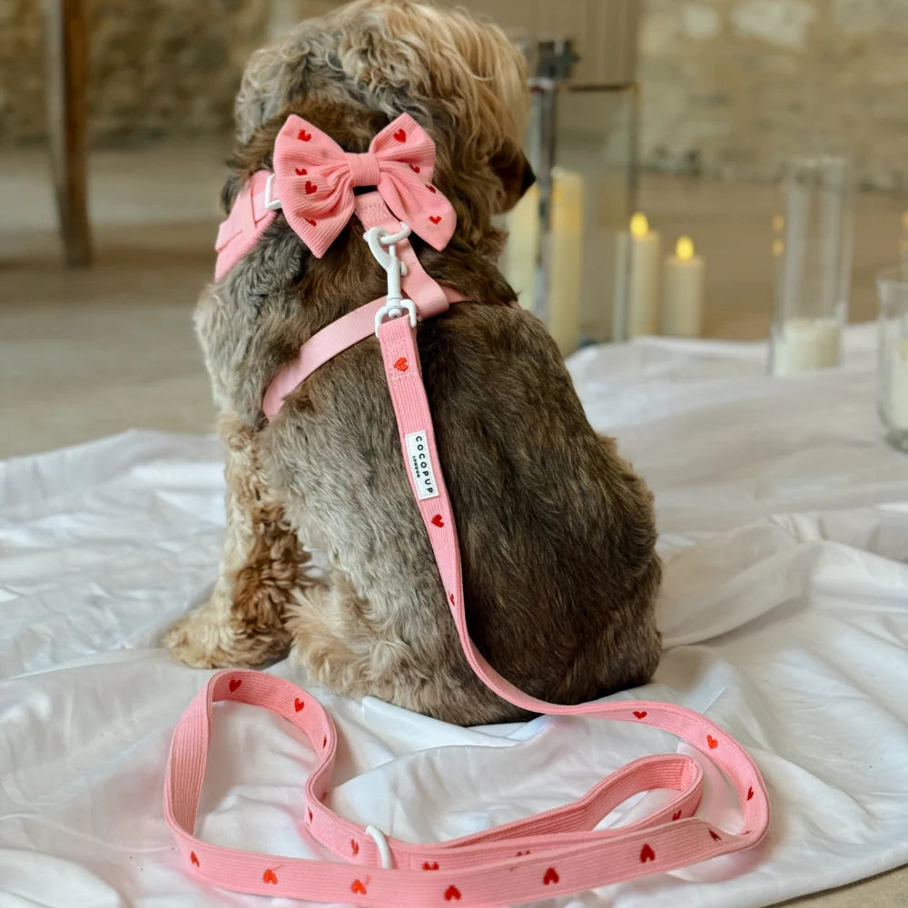 Pink Heartstrings Sailor Bow