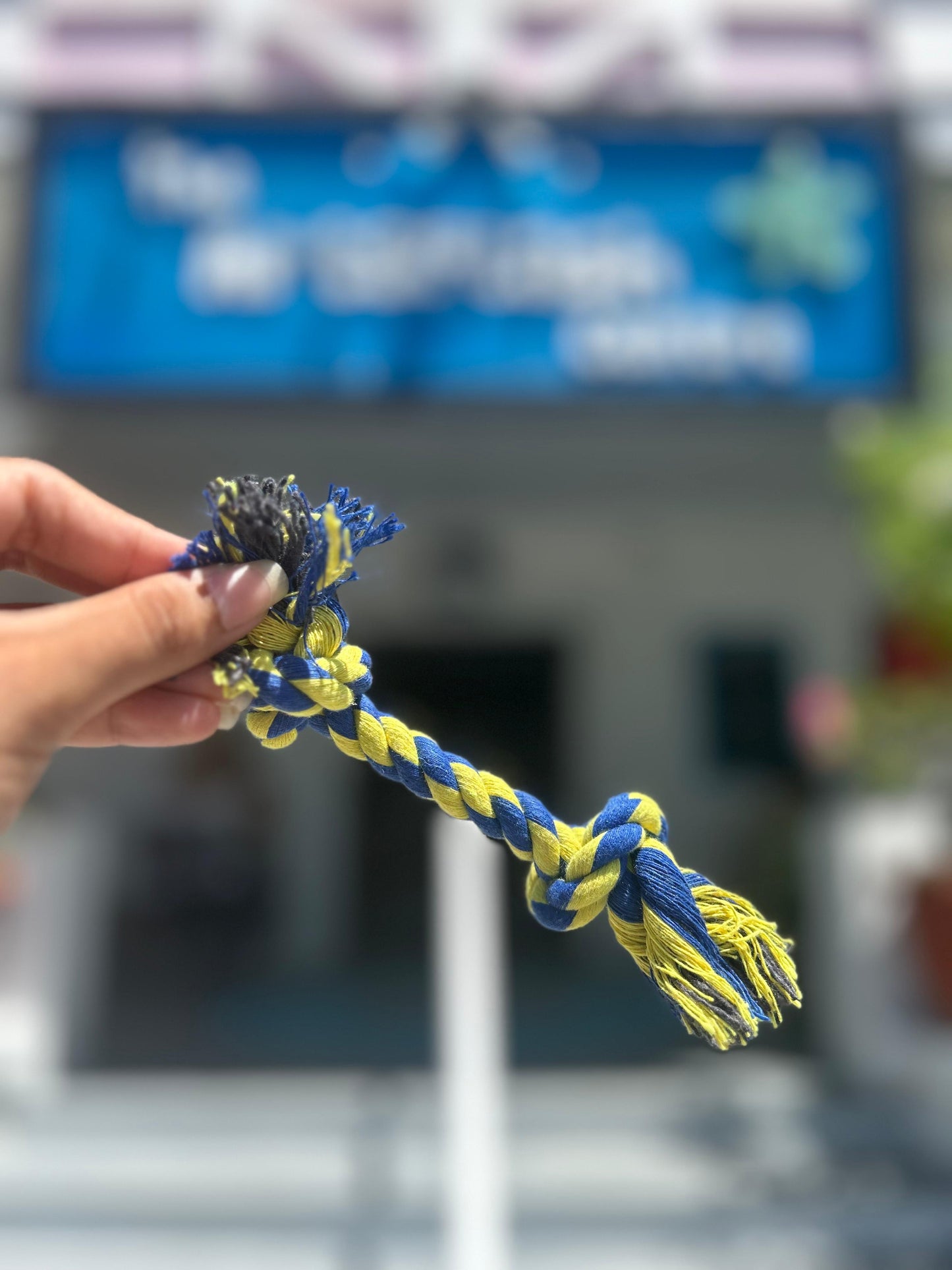 Puppy Rope Toy