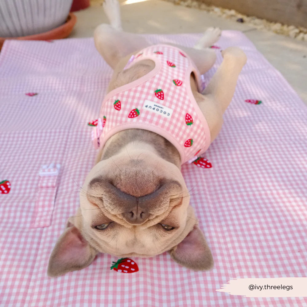 Travel Mat - Strawberry Picnic