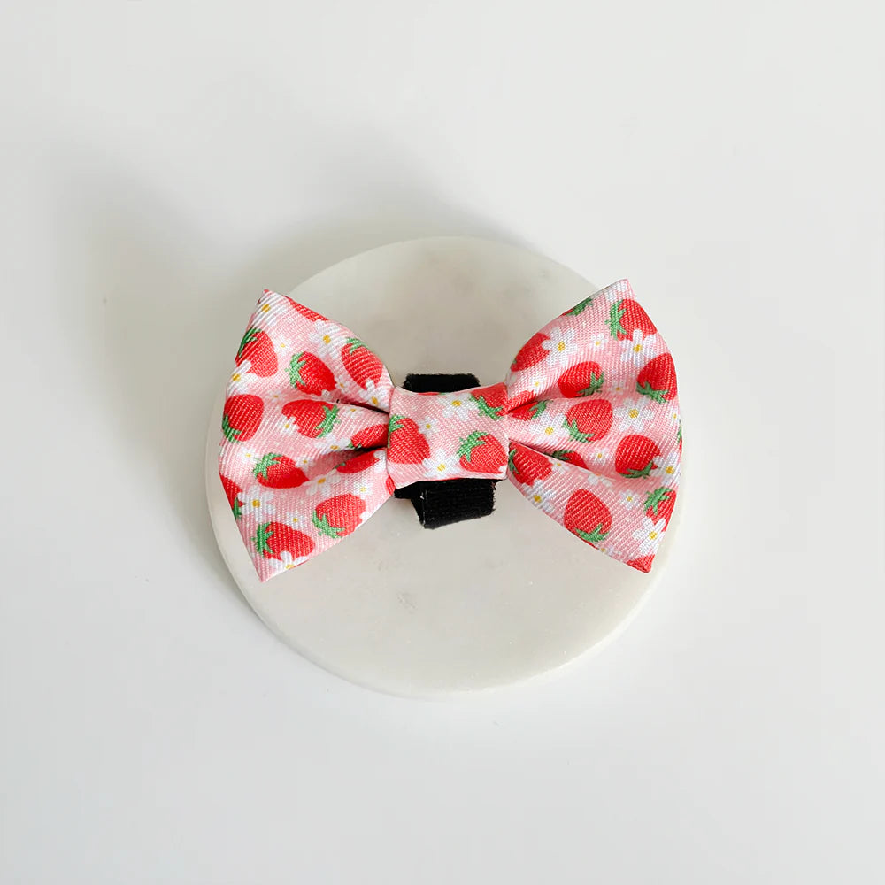 Pup Berry Bow Tie