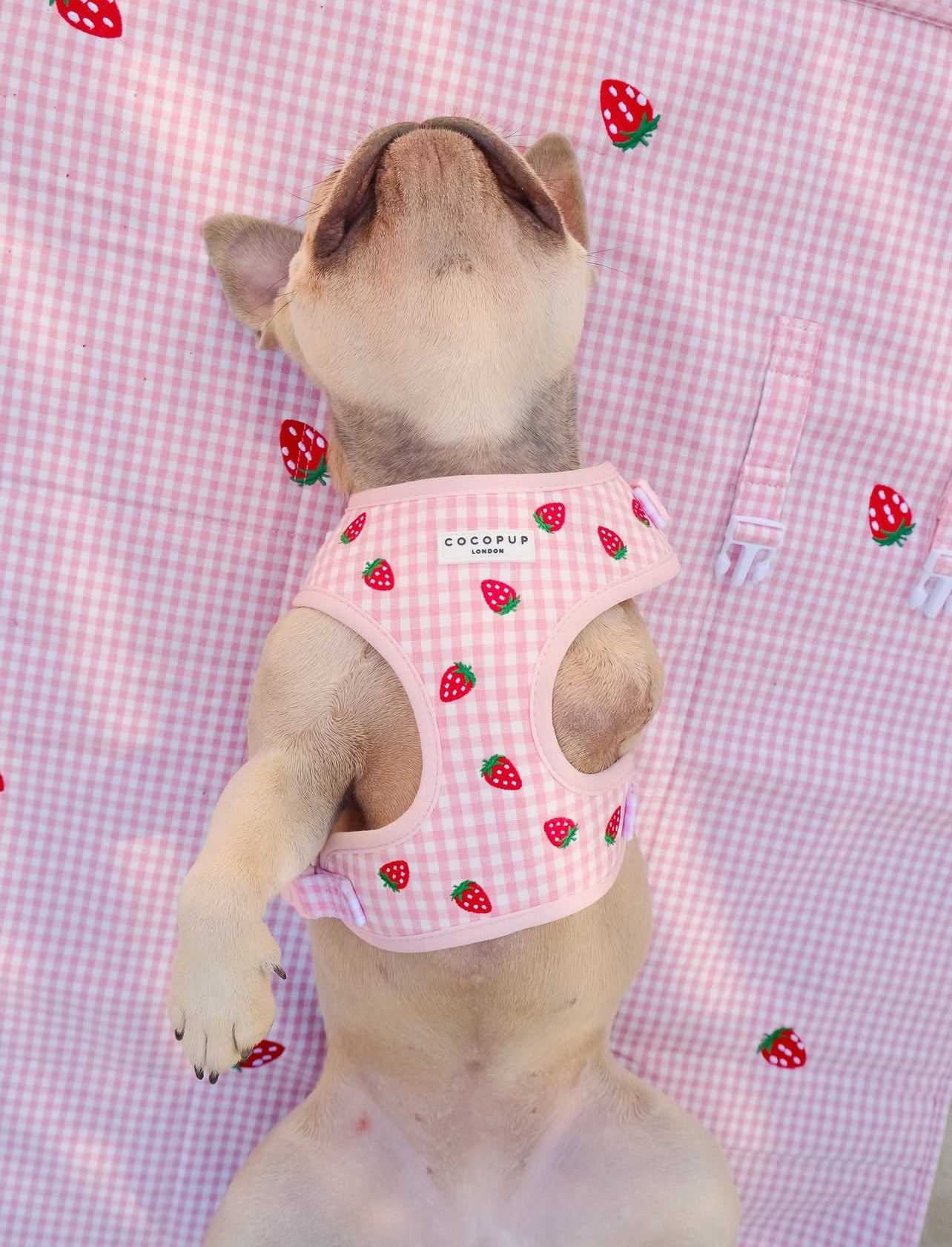 Travel Mat - Strawberry Picnic