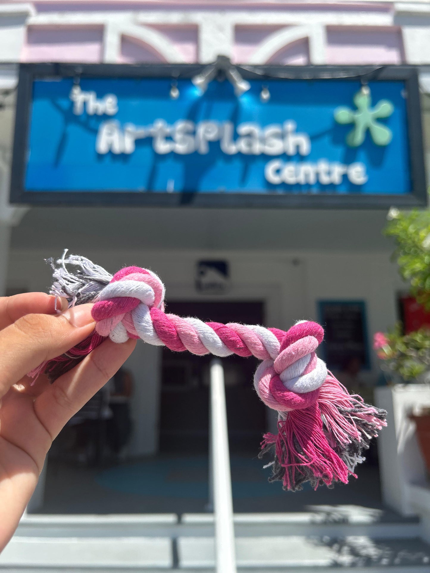 Puppy Rope Toy