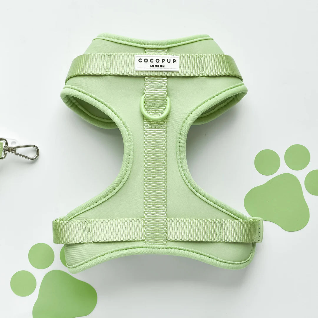 Matcha Harness - Surf’s Up! 🏖️