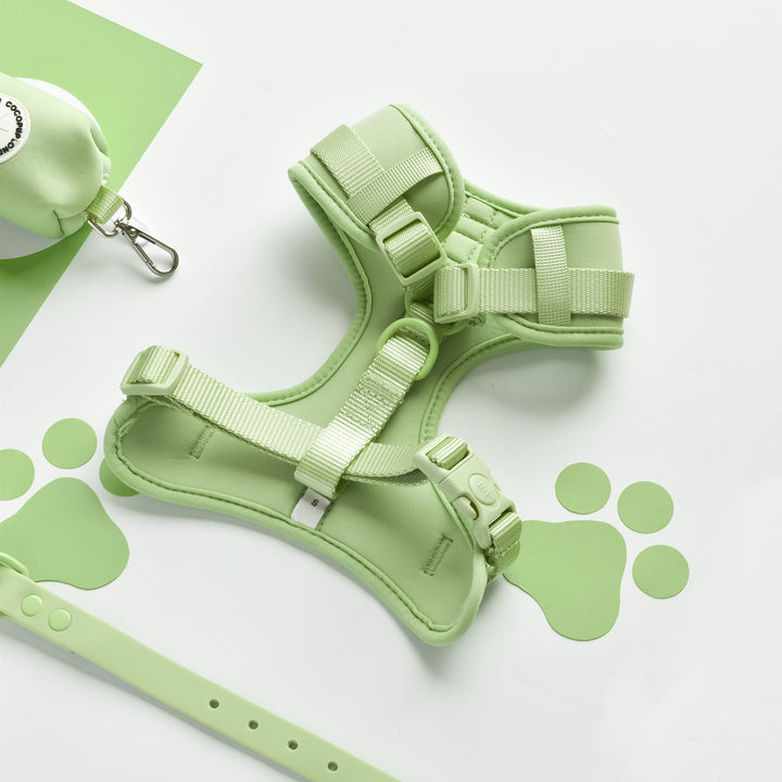 Matcha Harness - Surf’s Up! 🏖️