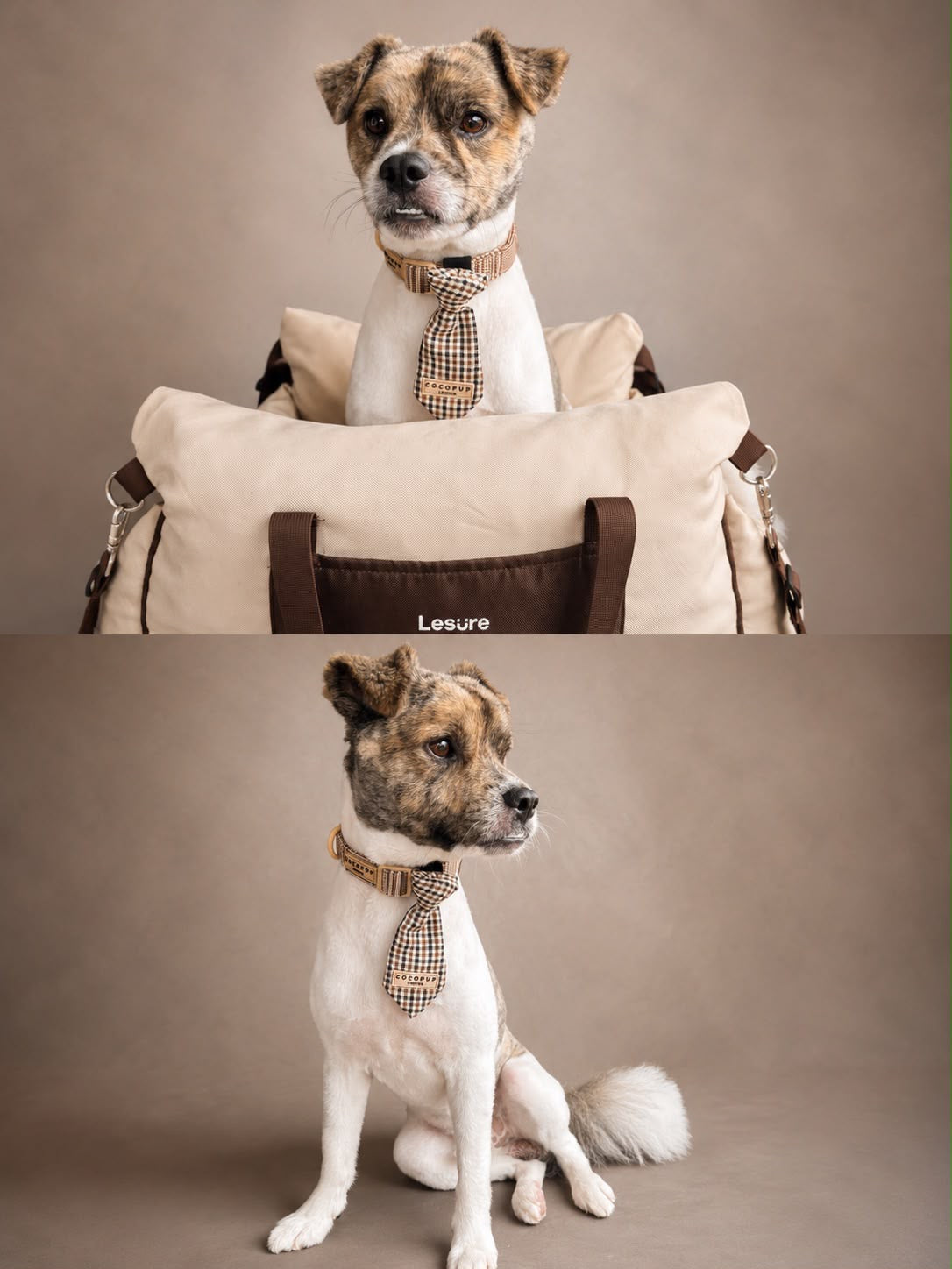 Lesüre Dog Car Seat (Beige or Pink)