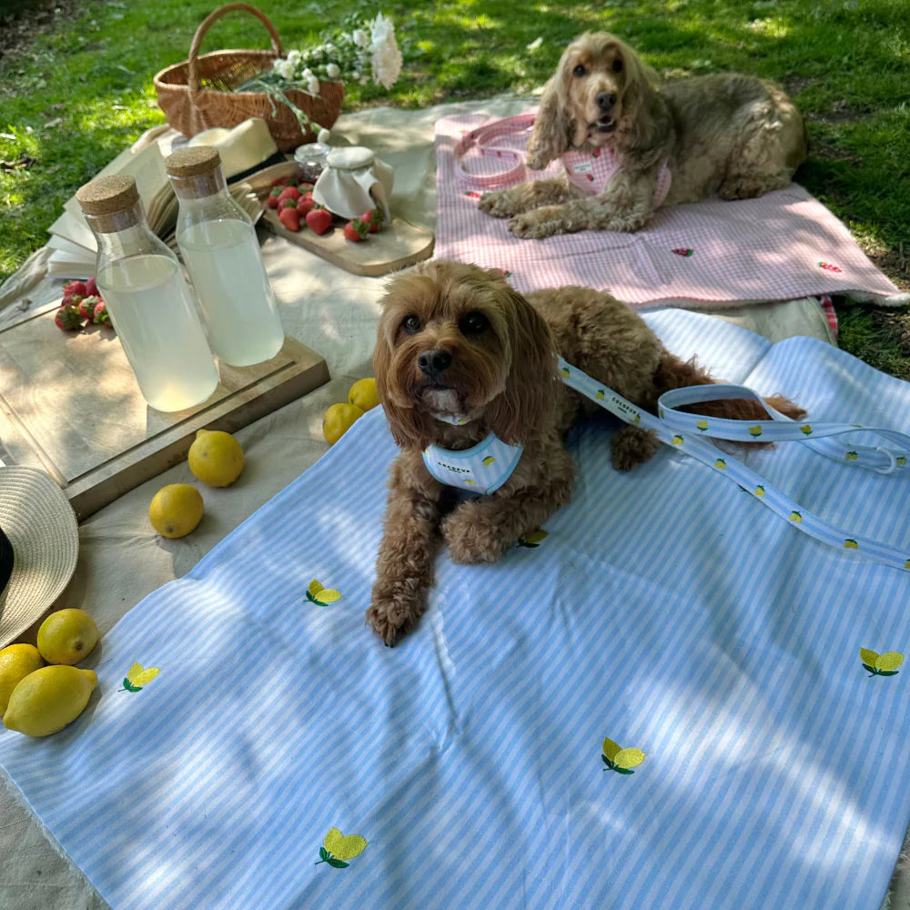Blanket - Strawberry Picnic